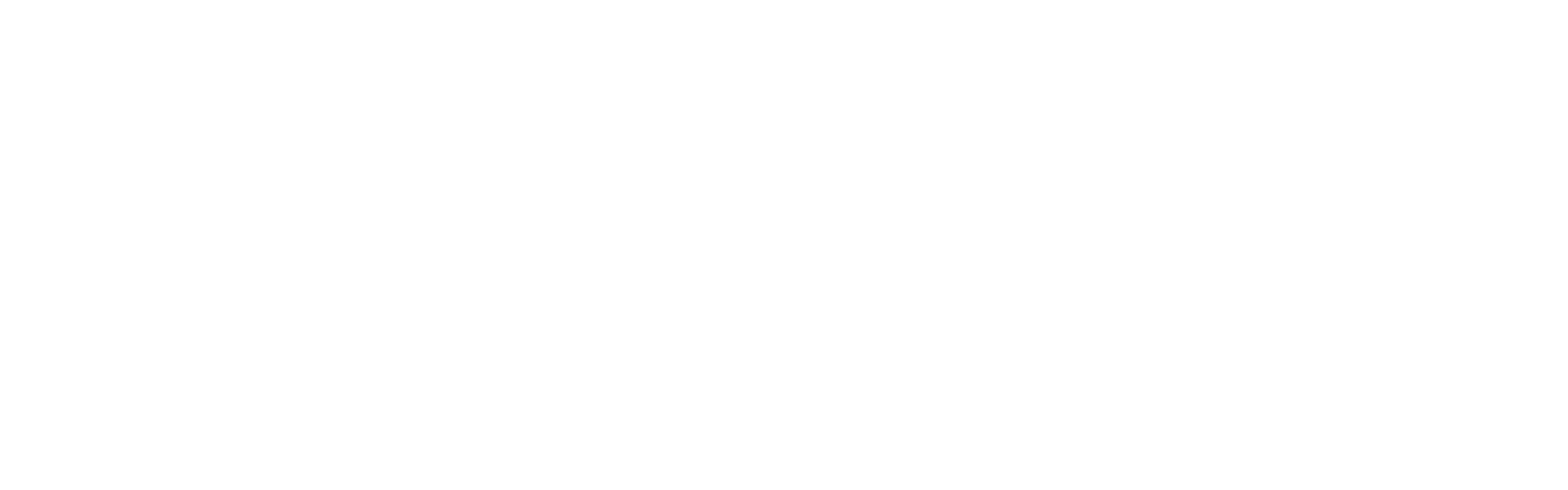 Kemzii-Logo-white